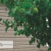 Сайдинг Ю-Пласт TIMBERBLOCK Пихта (Тимберблок) Cахалинская купить в Йошкар-Оле